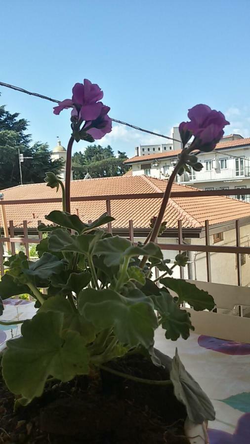 Casa Vacanza Xenia Villa Agerola Dış mekan fotoğraf